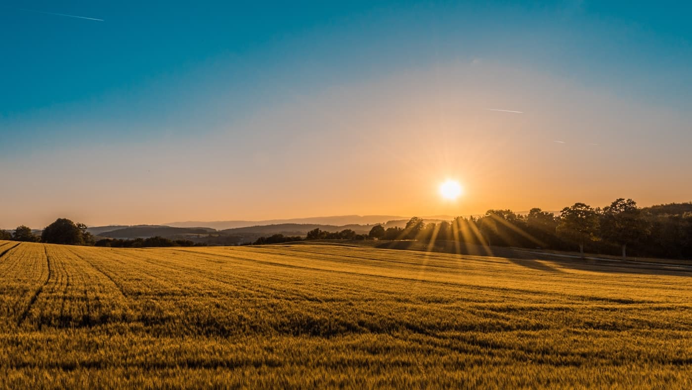 Growing Agriculture with Innovation