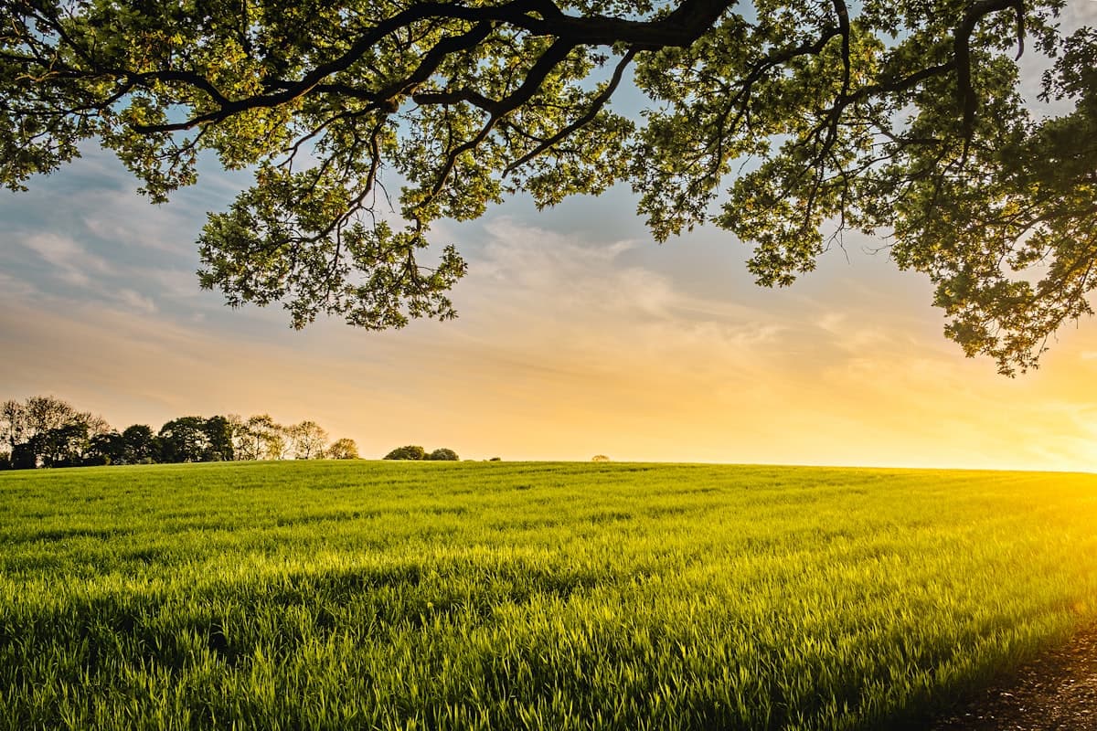 Crop Production Projects